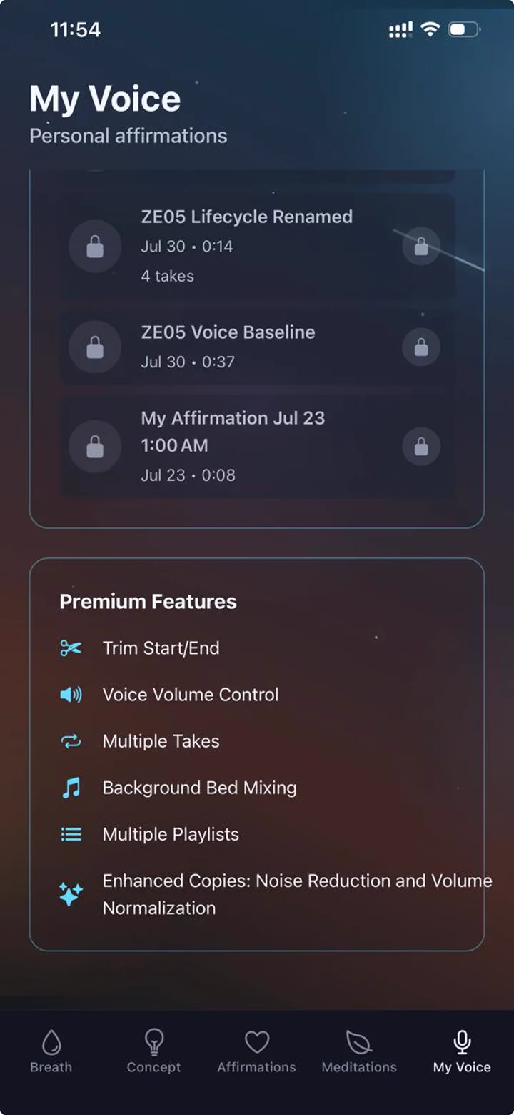 Current My Voice screen listing Premium editing, mixing, playlist, and enhancement tools.
